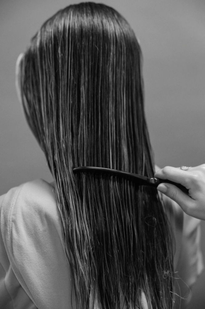 Womens Haircut (with Blowdry)