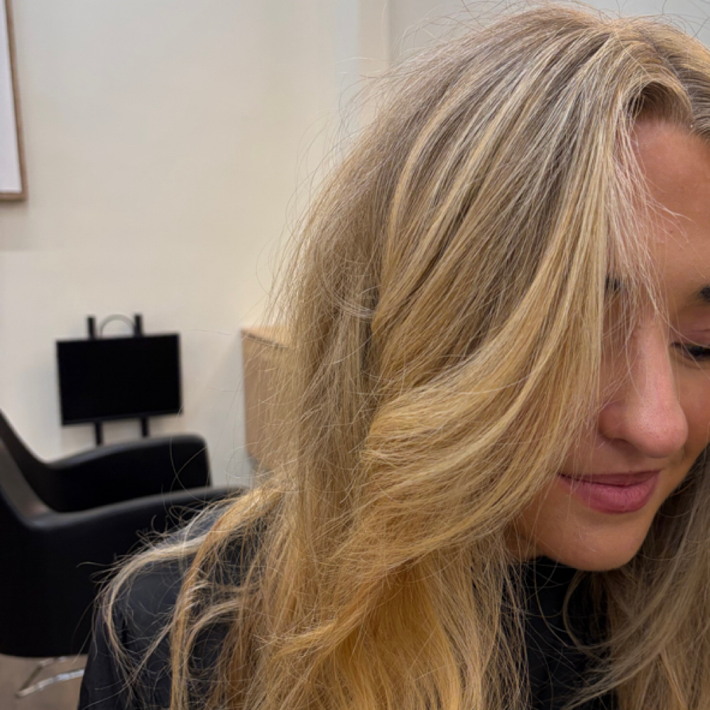 Full Blonding + Haircut at Hair By Hal in Pleasant Grove, UT