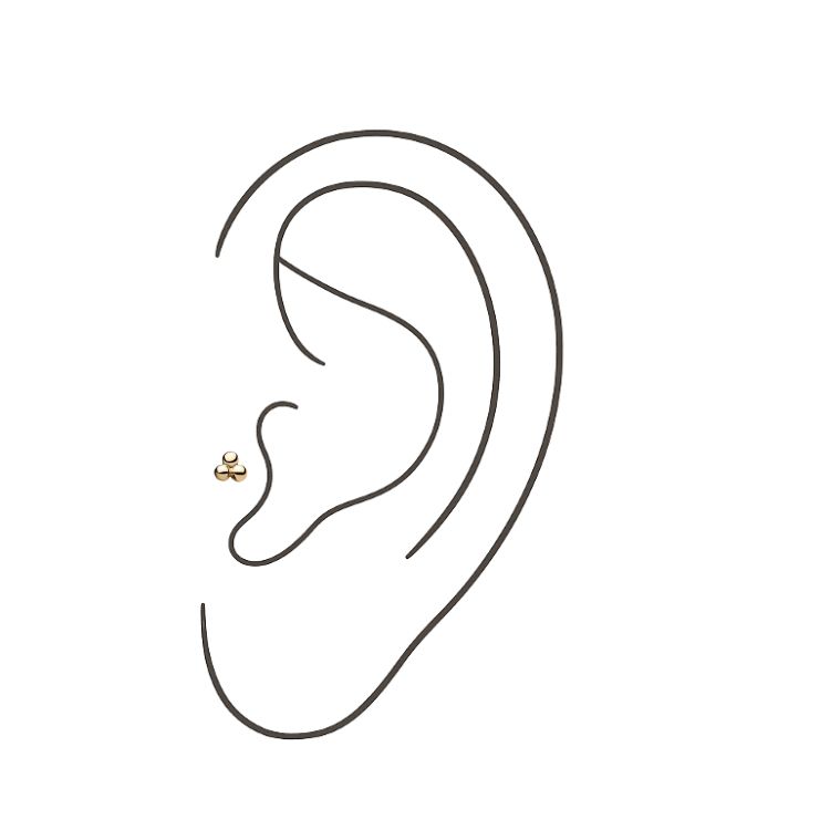 Tragus (Jewelry Included)