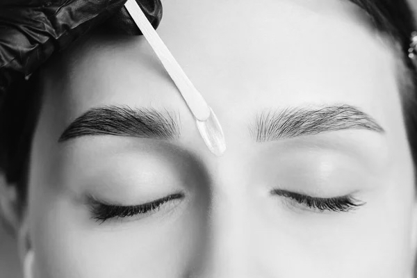 Brow Tint with Wax