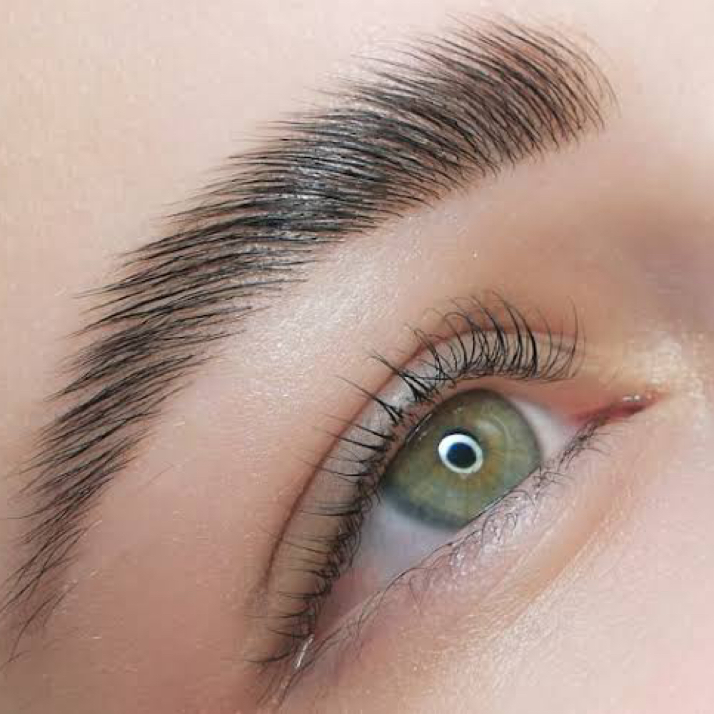 Eyebrow Lamination at The Beauty Collective in Peabody, MA