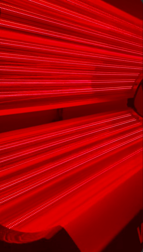 Red Light Body Therapy Bed-ADD ON