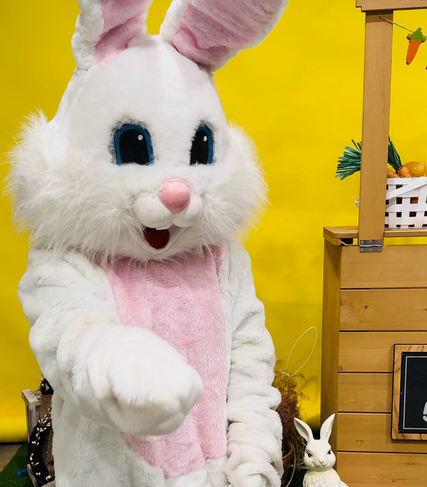 One Photo With The Easter Bunny