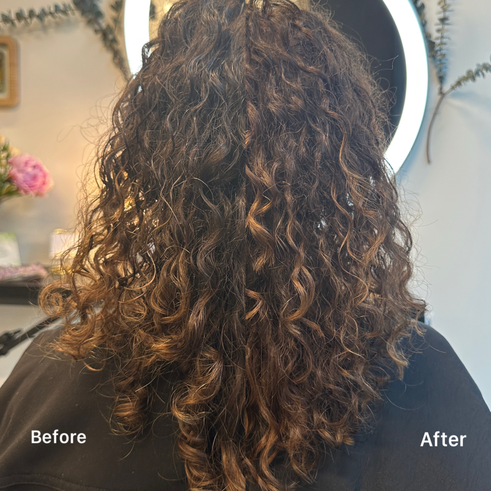 Dry Curly Cut- Maintenance Only