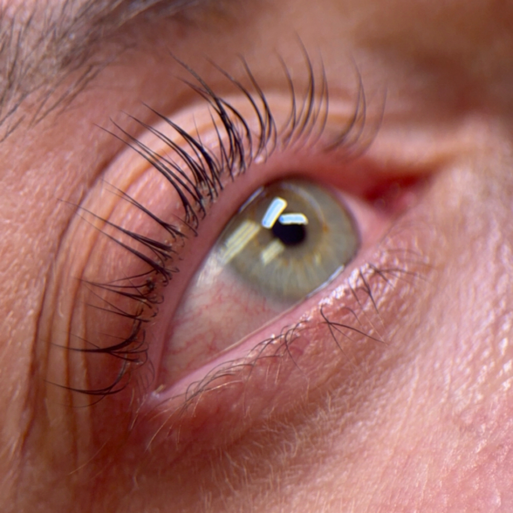 Lash Lift (no tint) at LB Lash Studio in West Fargo, ND