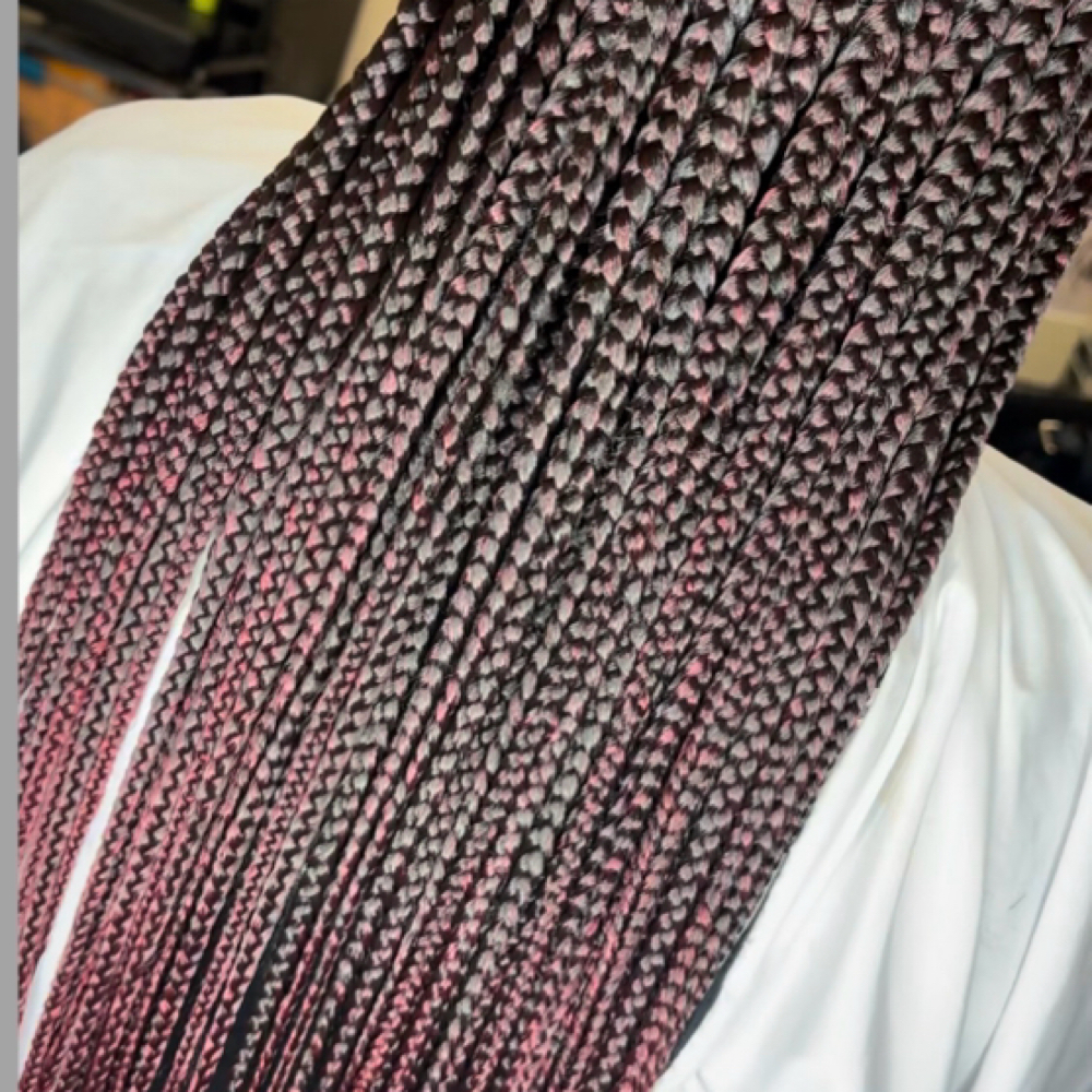 Traditional Medium plaits at Livloveplaits in Pembroke Pines, FL