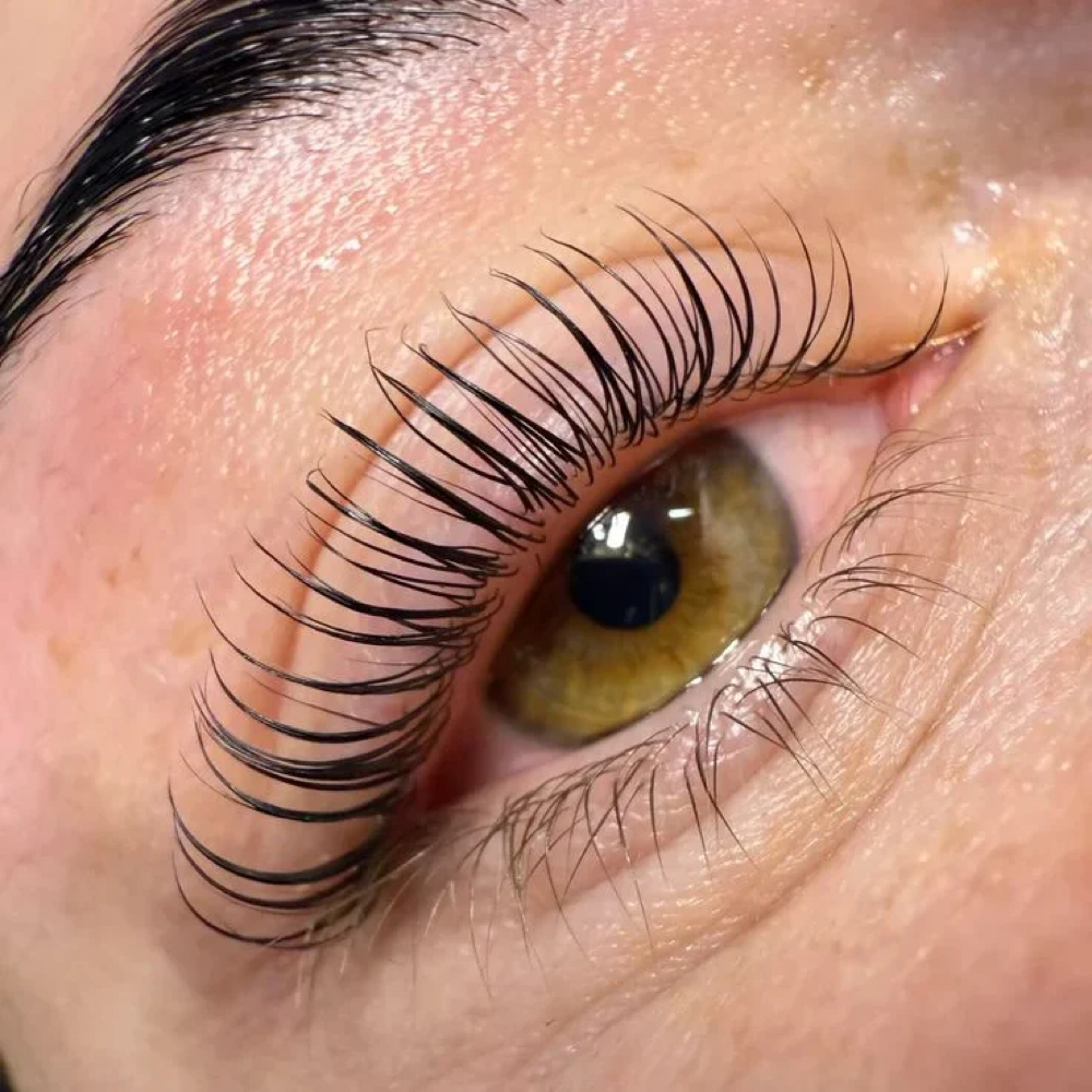 KOREAN Lash Lift & Tint Combo at Dare to be Artistry, Lash Studio in Gastonia, NC