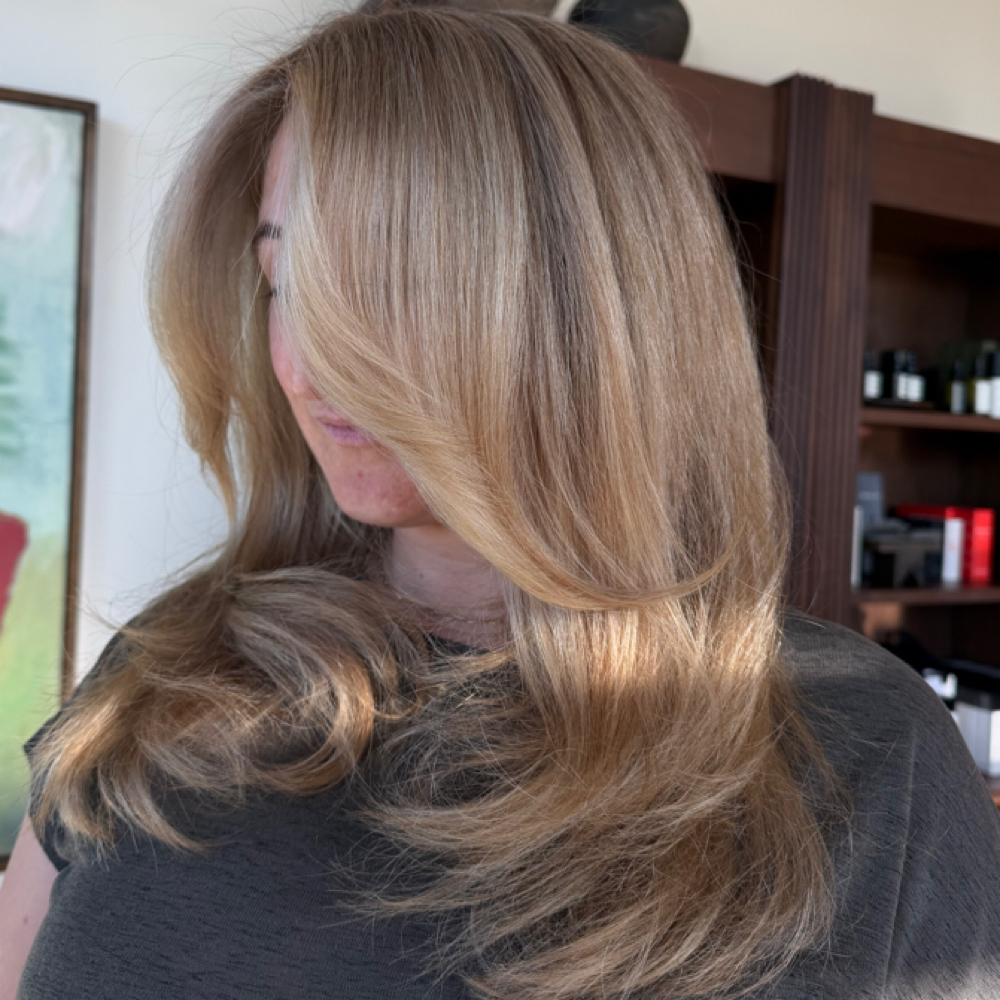 Partial Highlight at Hair Perks By Emily in Fort Worth, TX