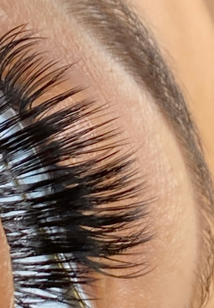 Wet Set 2/3 Week Fill