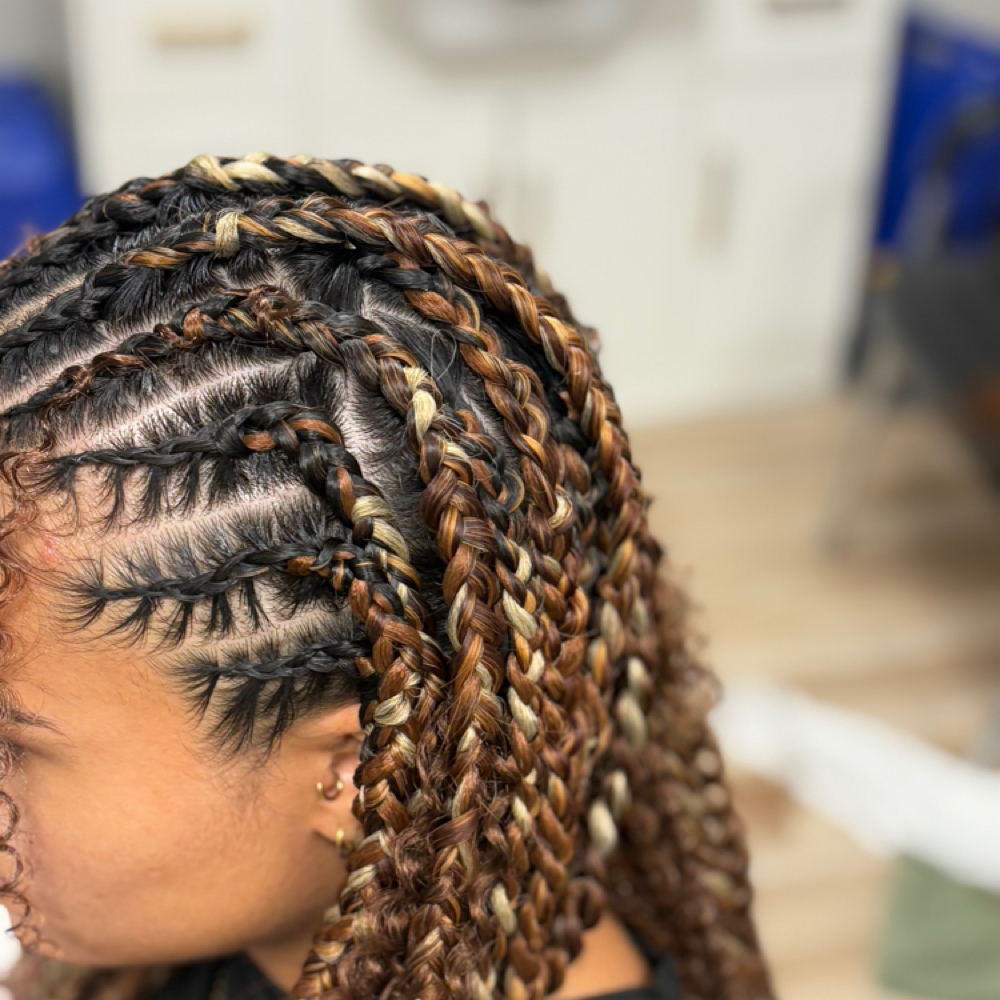 Long Detailed Braids( Added Hair) at Hair Designs By Kaylee Jayde in Lancaster, PA