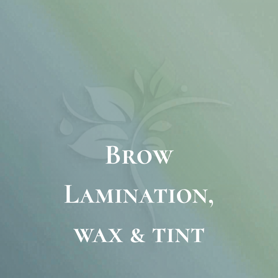 Brow Lamination, Wax & Tint at Elysian Esthetics Spa in Loganville, GA