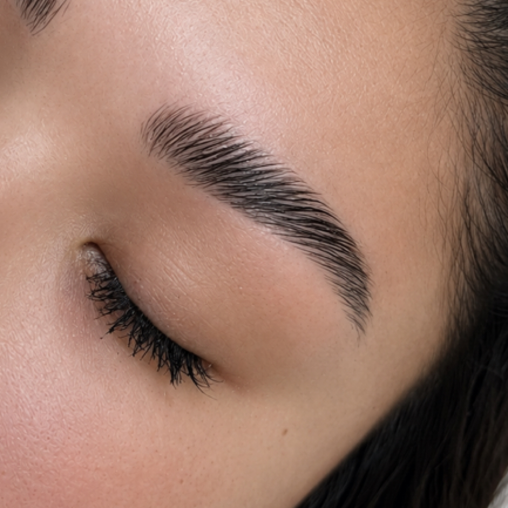 Brow Tint at Rose Gold Lash in Centerline, MI