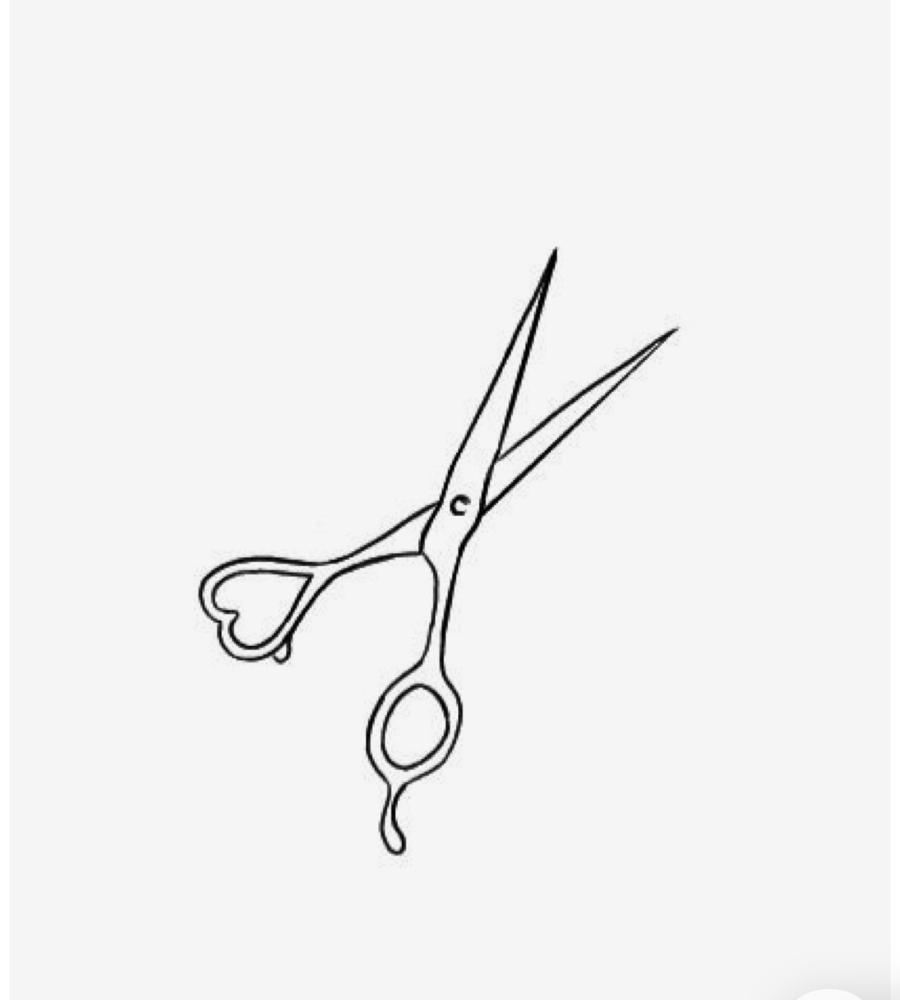 Womens Haircut ( Dry )