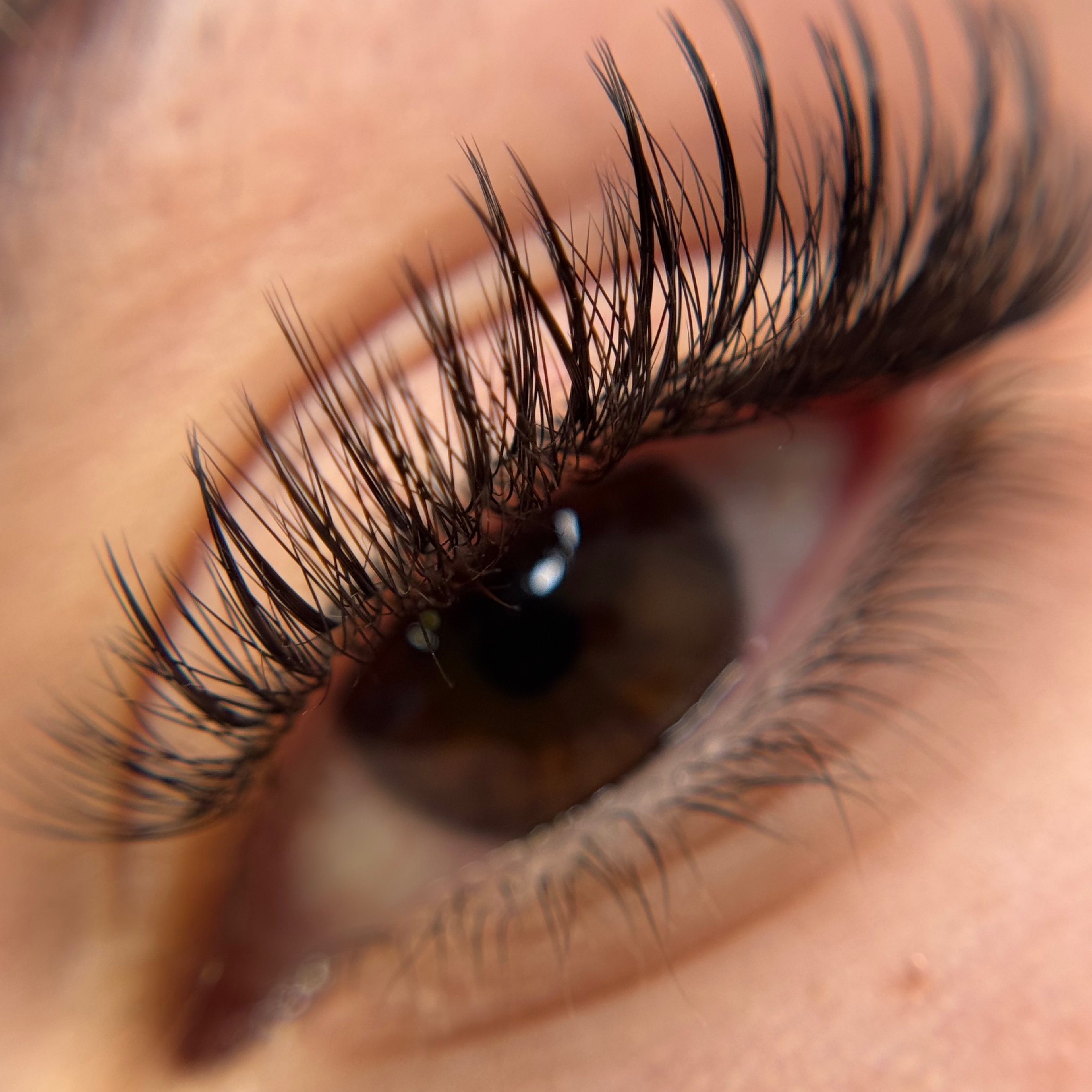 LIGHT VOLUME/HYBRID (2-3D)