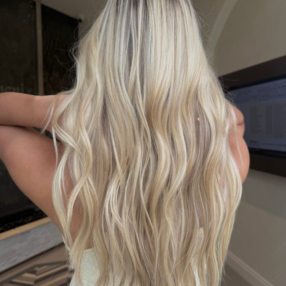 Partial Highlight + Blowdry