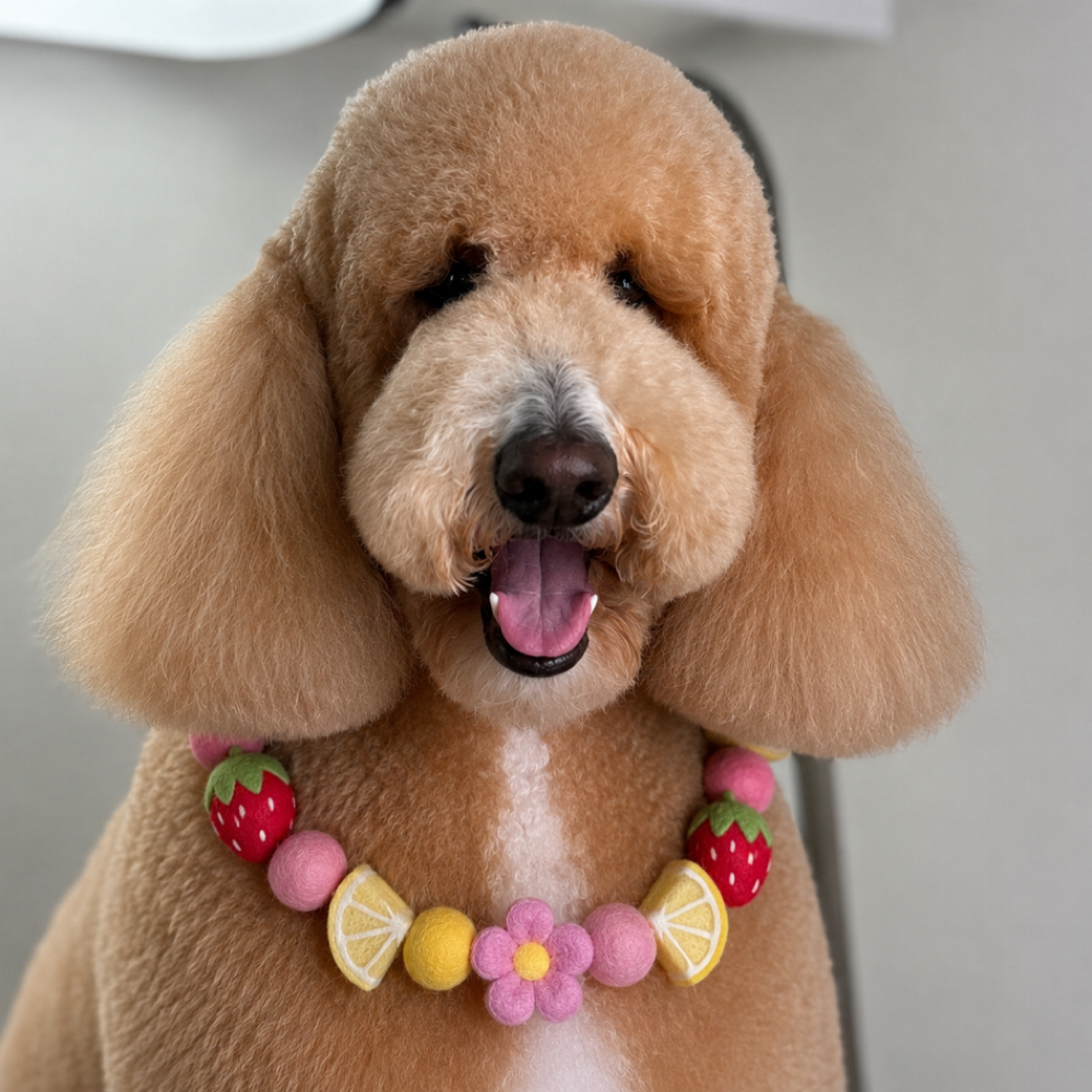🍋Summer Spa 🍓 at The Shiny Puppy LLC in Royse City, TX