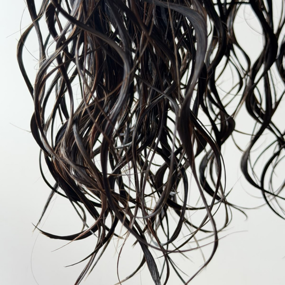 Dry Curly Cut, Shampoo, + Blowdry at Salt & Cedar Salon in Miamisburg, OH