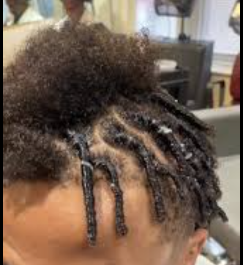 Starter Locs