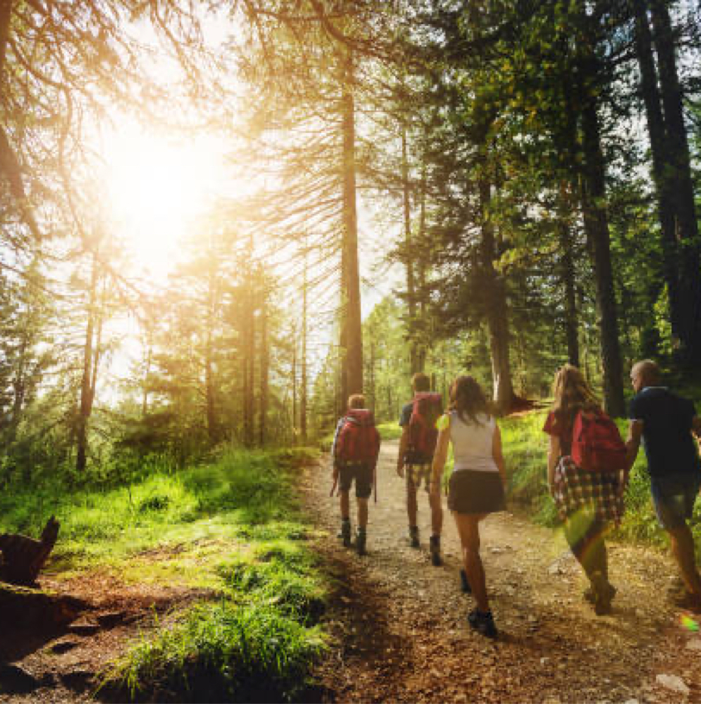 Mindful Hiking & Meditation Retreat at 💫Soulful Radiance 💫 Holistic Wellness in Ellicott City, MD
