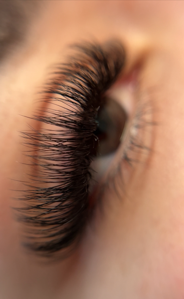 Volume Eyelash Set