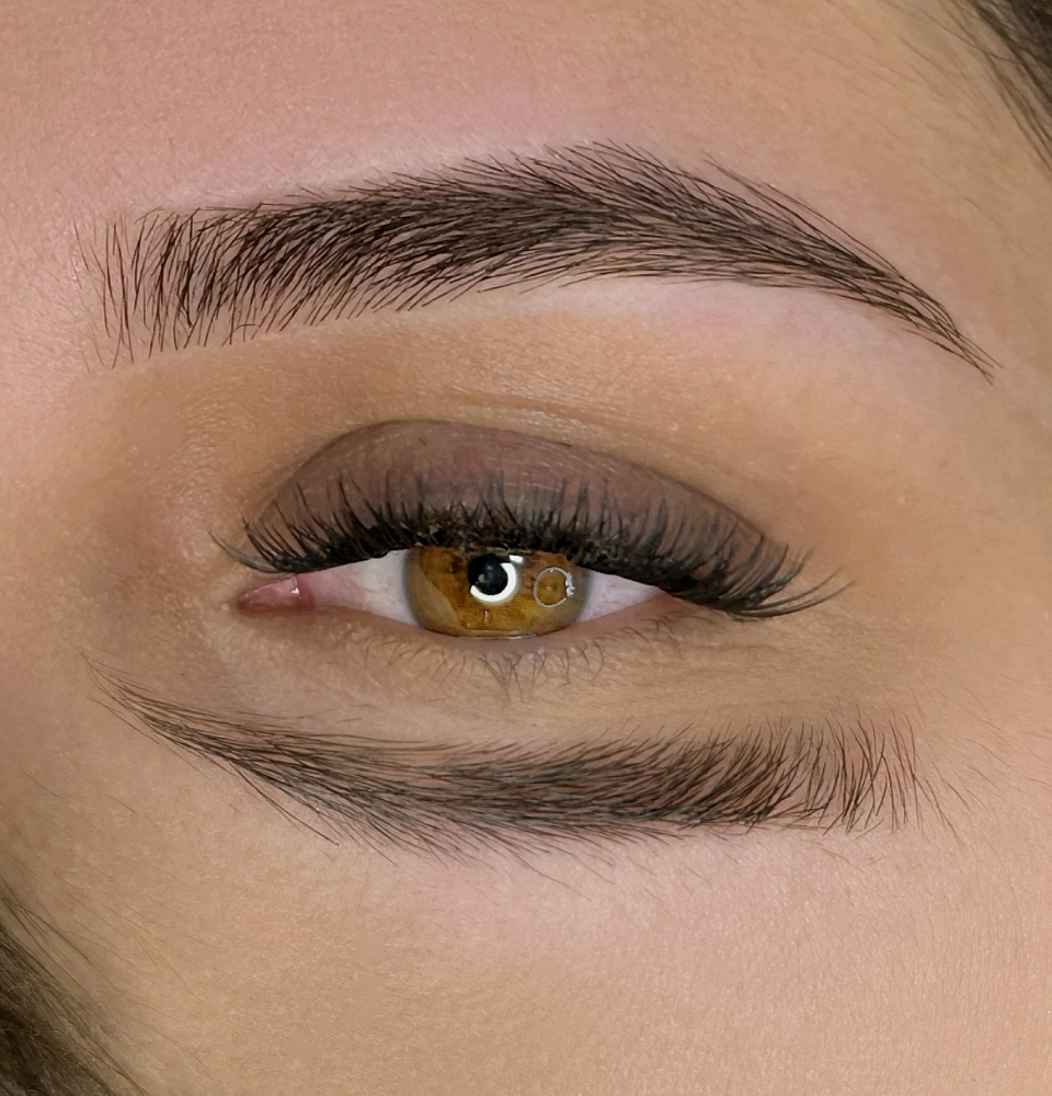 Brow Extension Classics