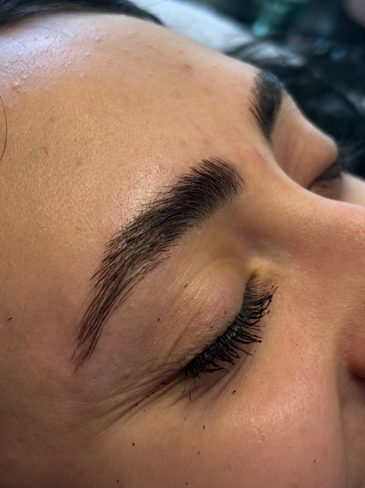 Eyebrow Wax + Lamination