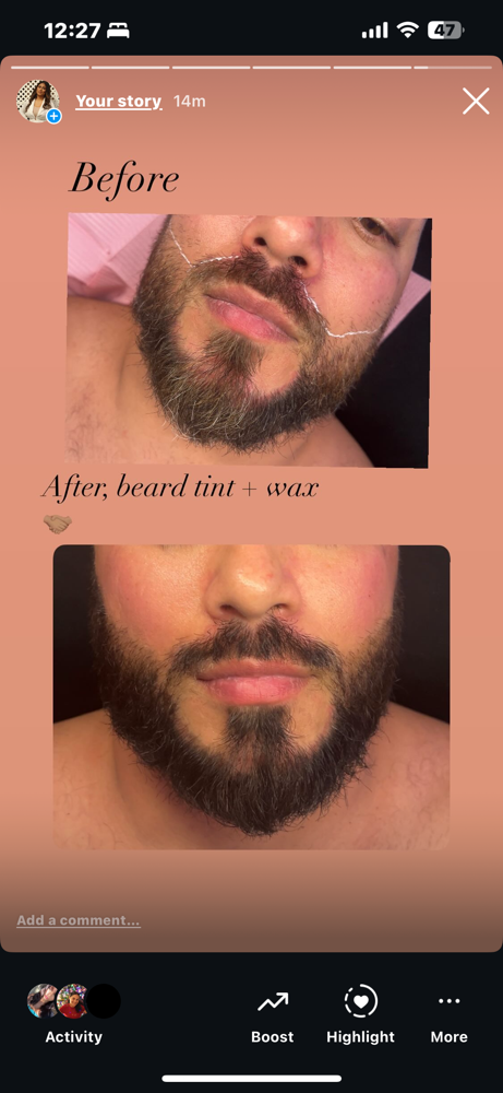 Beard Tint + Wax