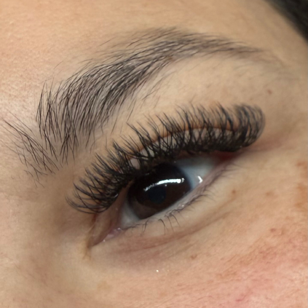 YY Refill at Lash Garden in Harlingen, TX