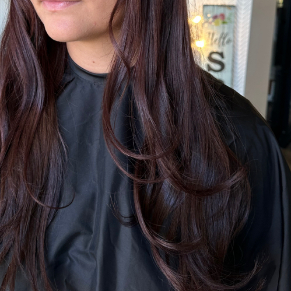 all over color at Ellie Hair Studio in Providence, UT
