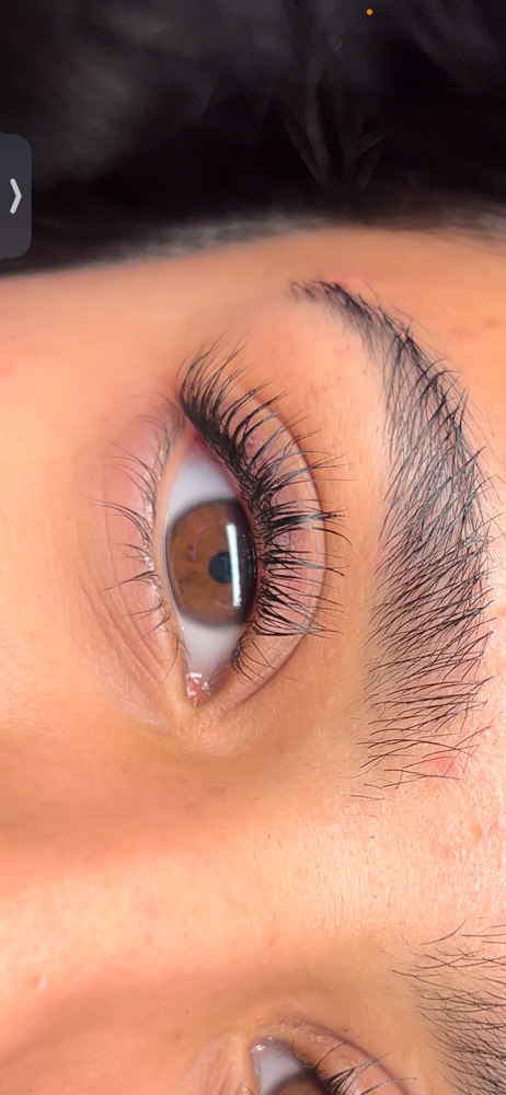 Lash Lifts/tint Optional