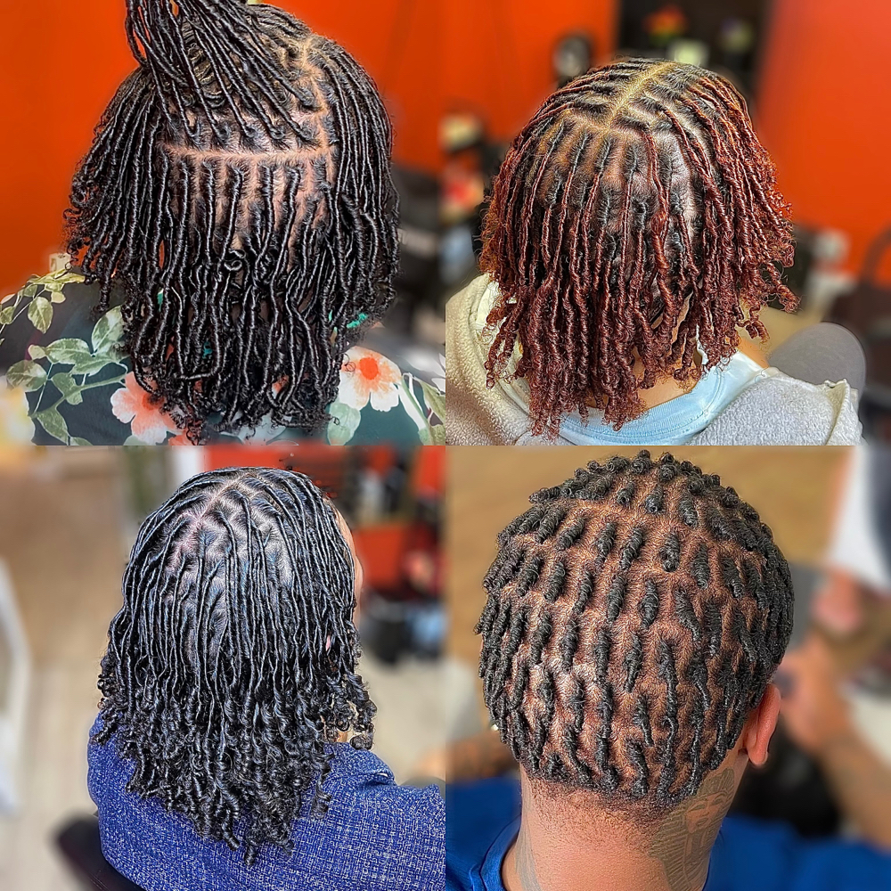 Starter Locs