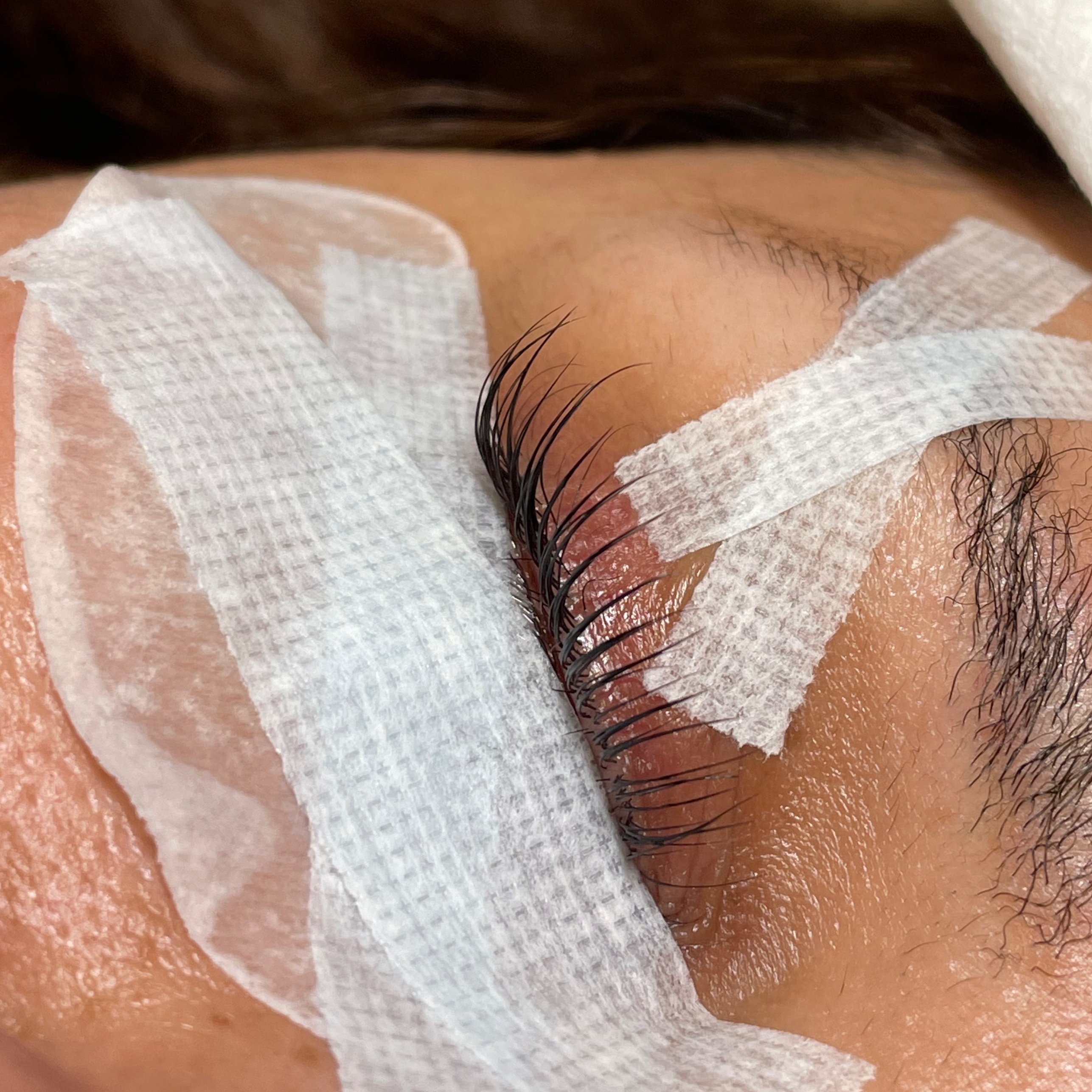 Lash Tint at Sweet Adeline Beauty in Pleasant Hill, CA