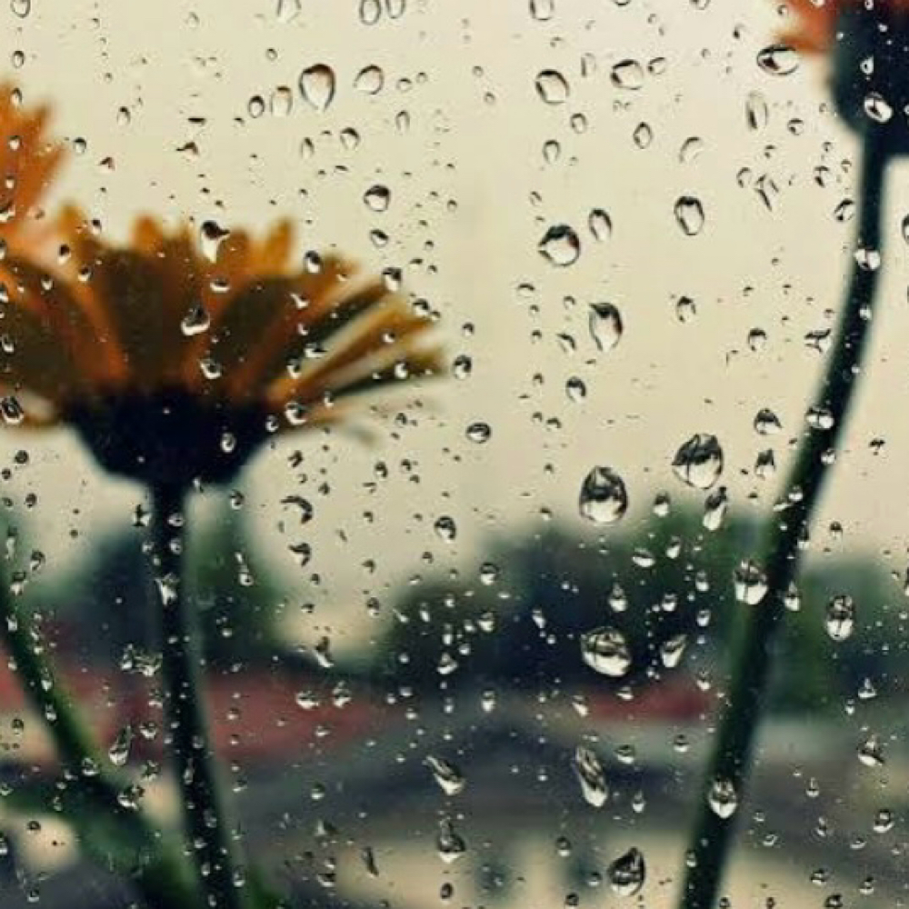 January Promo at Piel Amor Skin Studio in Camarillo, CA