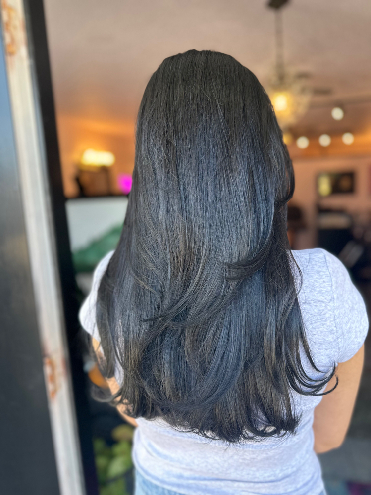 Root Retouch at Palace Hair Studio in Fayetteville, AR