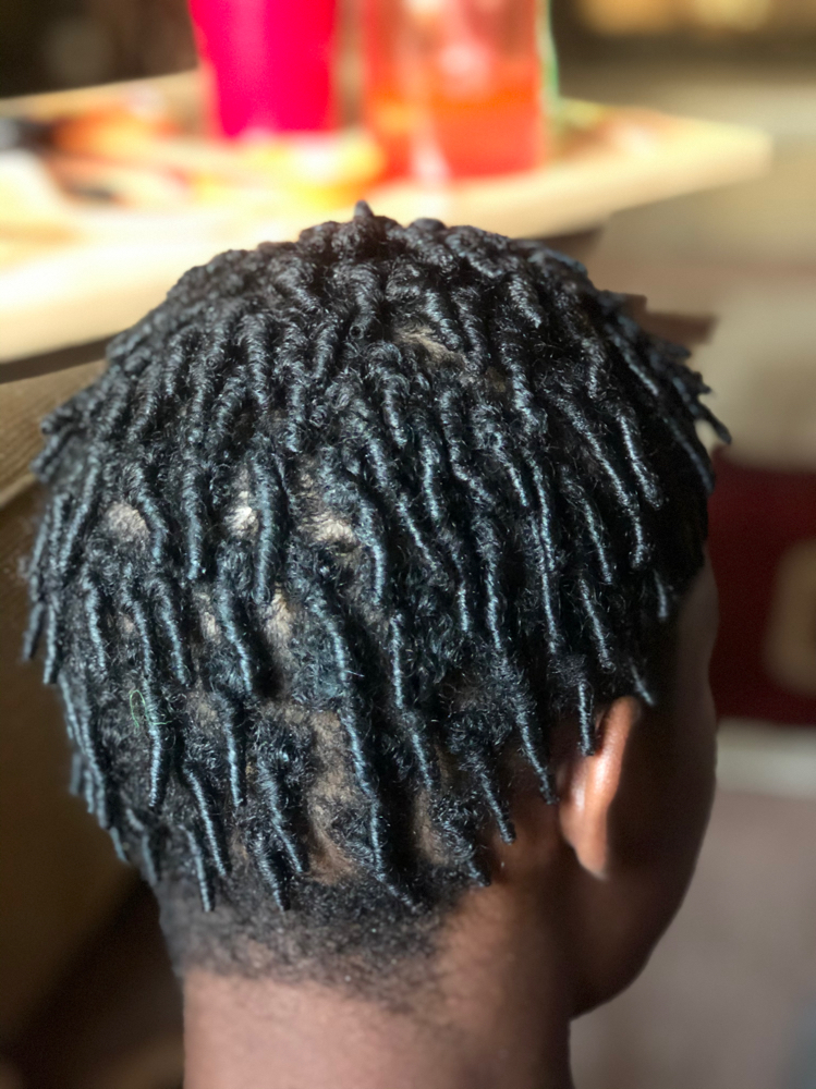 Starter Locs