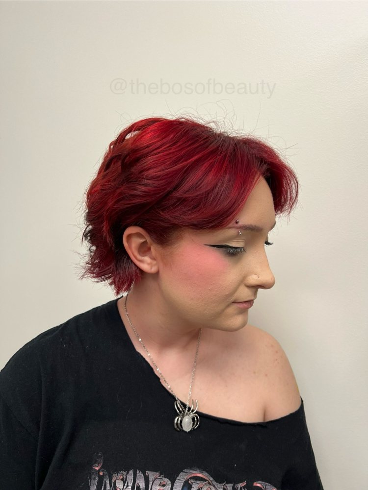 Full Root Touch Up