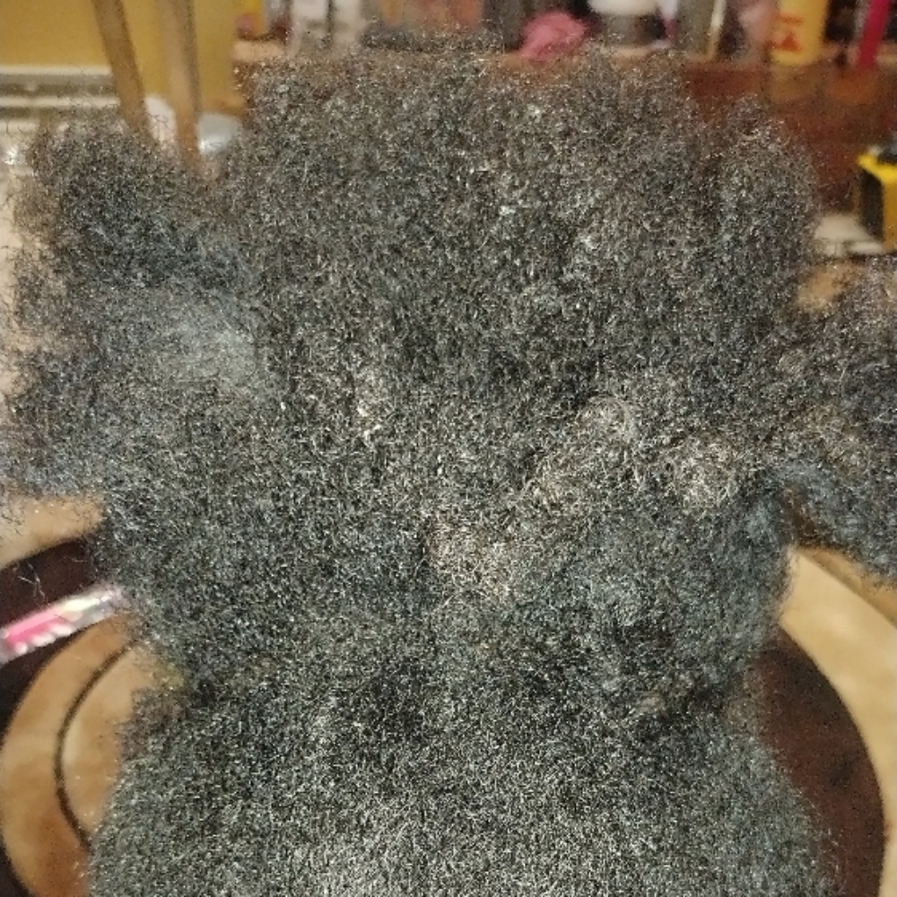Detangling Service at Elegant Disclosure Hair Studio in Blaine, MN