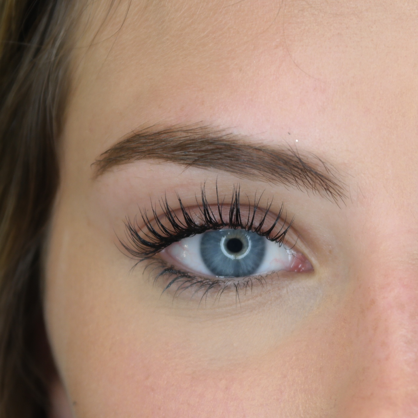 Lash Lift/Tint (Top ONLY)+Brow Tint at B-Lashed Beauty & Bridal Bar in Dallas, TX