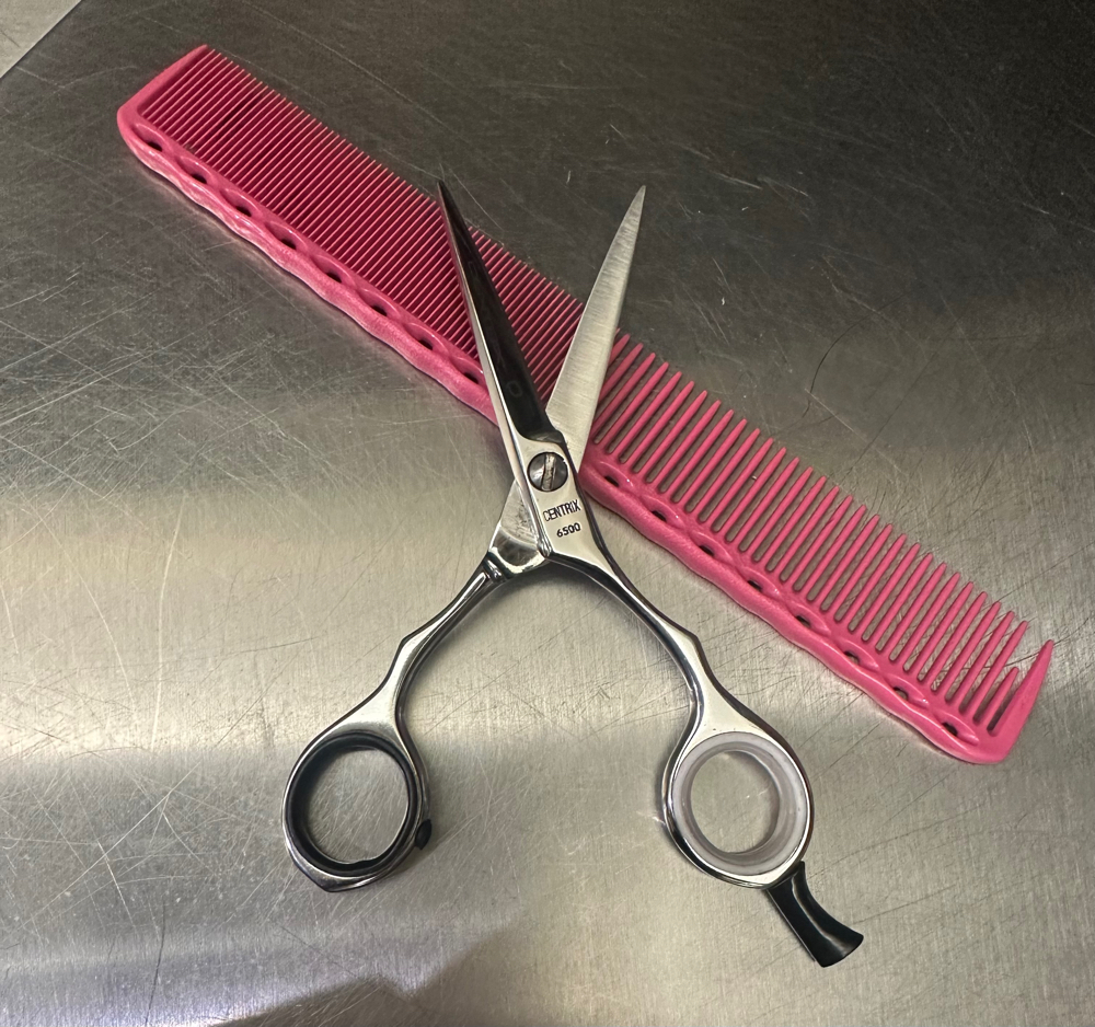 Haircut And Style
