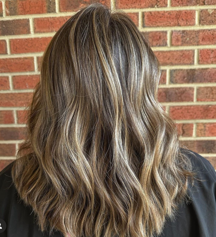 Partial Balayage w/o Haircut