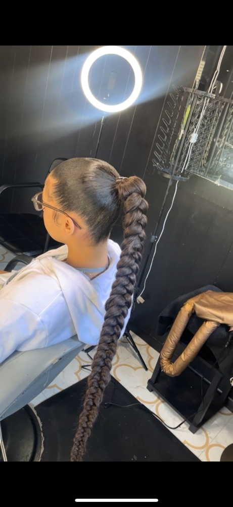 Braided Ponytail