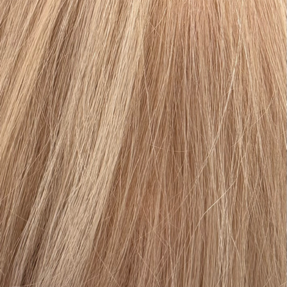 + toner at Shears Hair Design in Goodyear, AZ