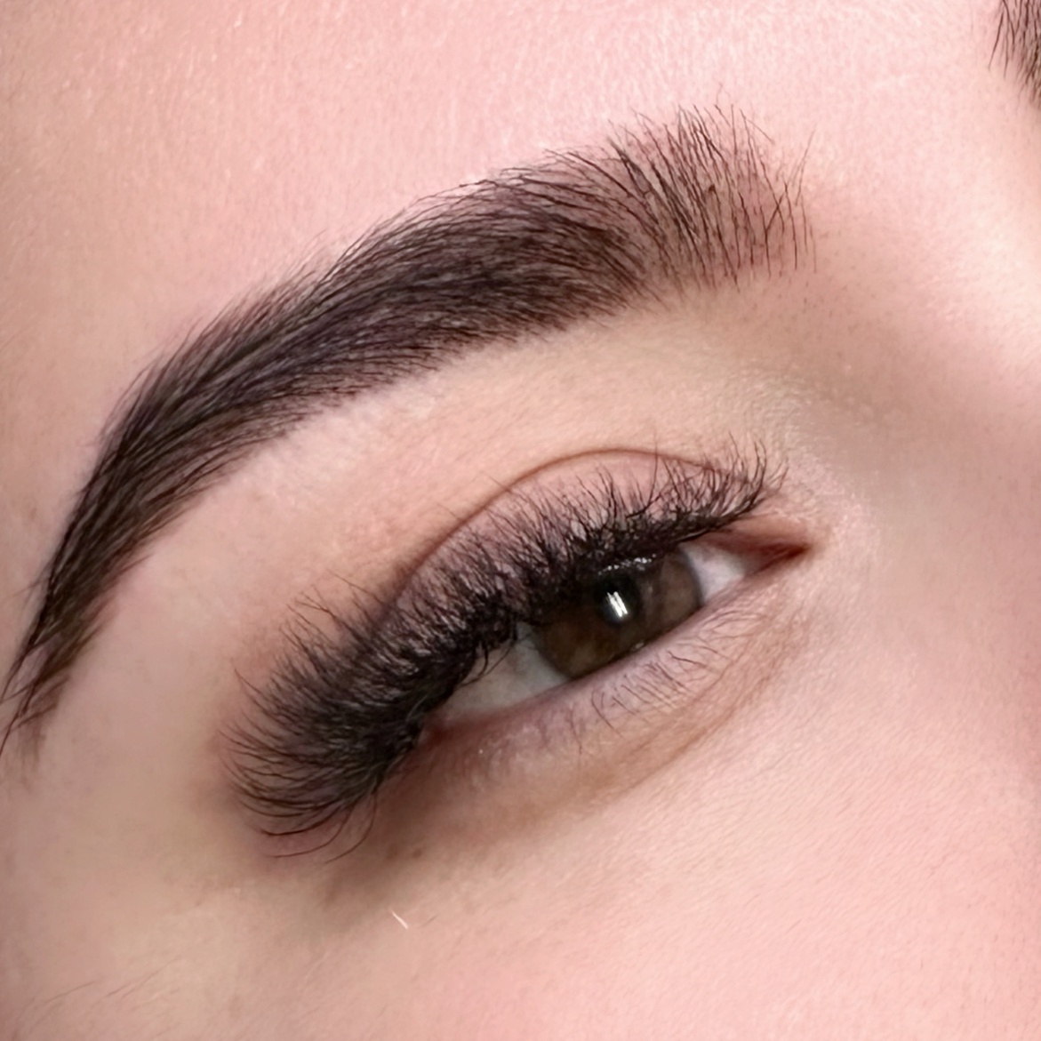 Volume Full Set at Lashmor Studio in Anaheim, CA