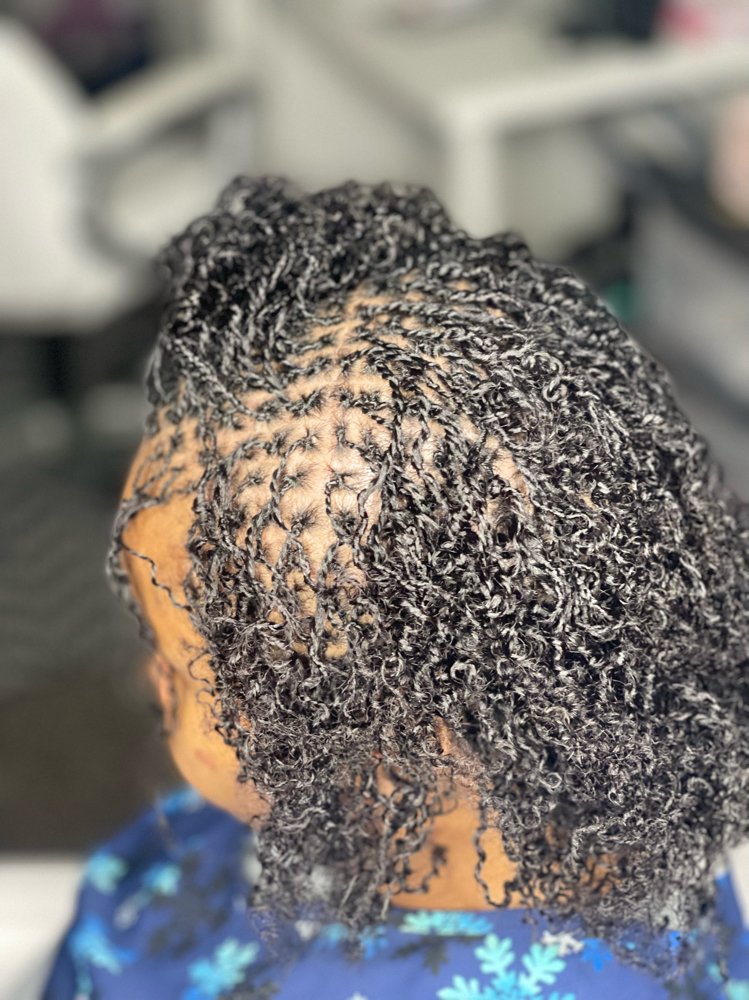 Micro locs (Starter) at Royalty Braids And Weave LLC in Melbourne, FL