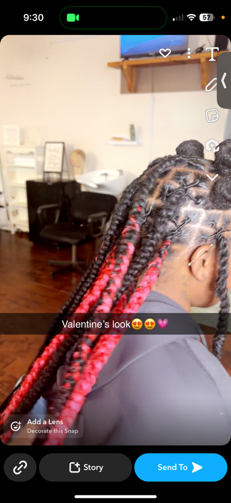 Braids Over Locs