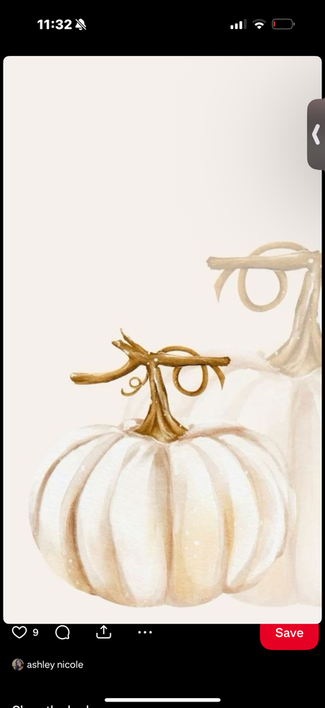 Pumpkin Spice & Everything Nice at Ayr Beaute in salinas, CA