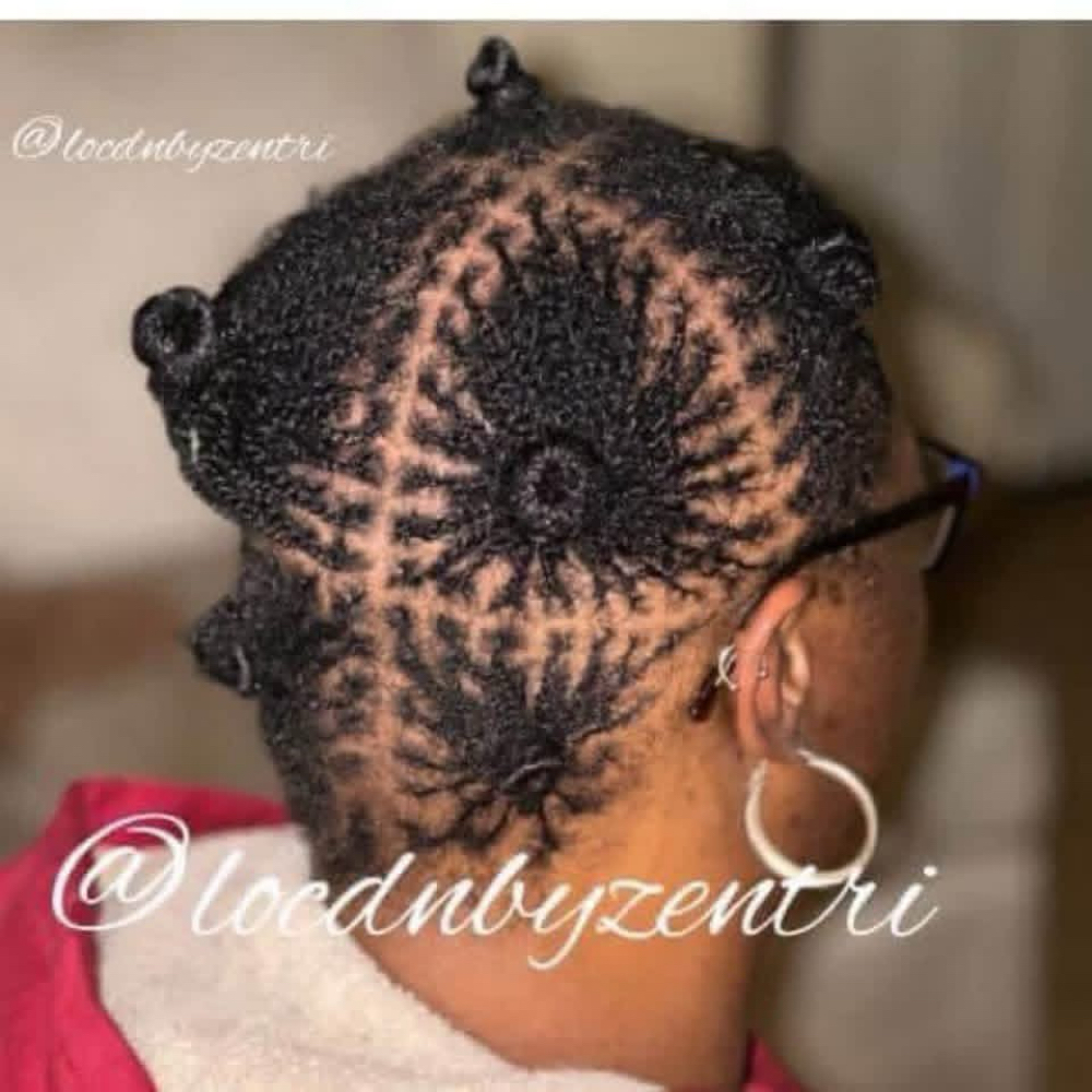 Microlocs Braids/Twists at Loc’d N By ZenTri in Wilson, NC
