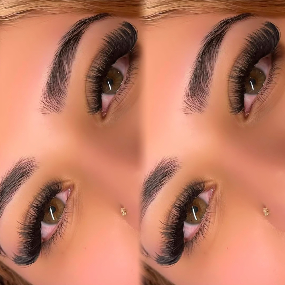 Volume Lashes