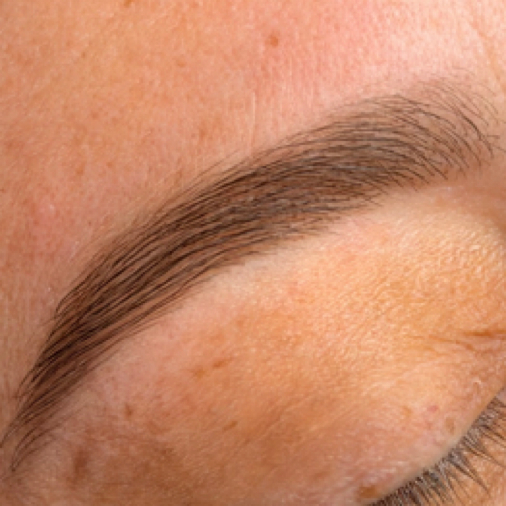 Brow Sculpting & Tint at Eterno Artistry in Houston, TX