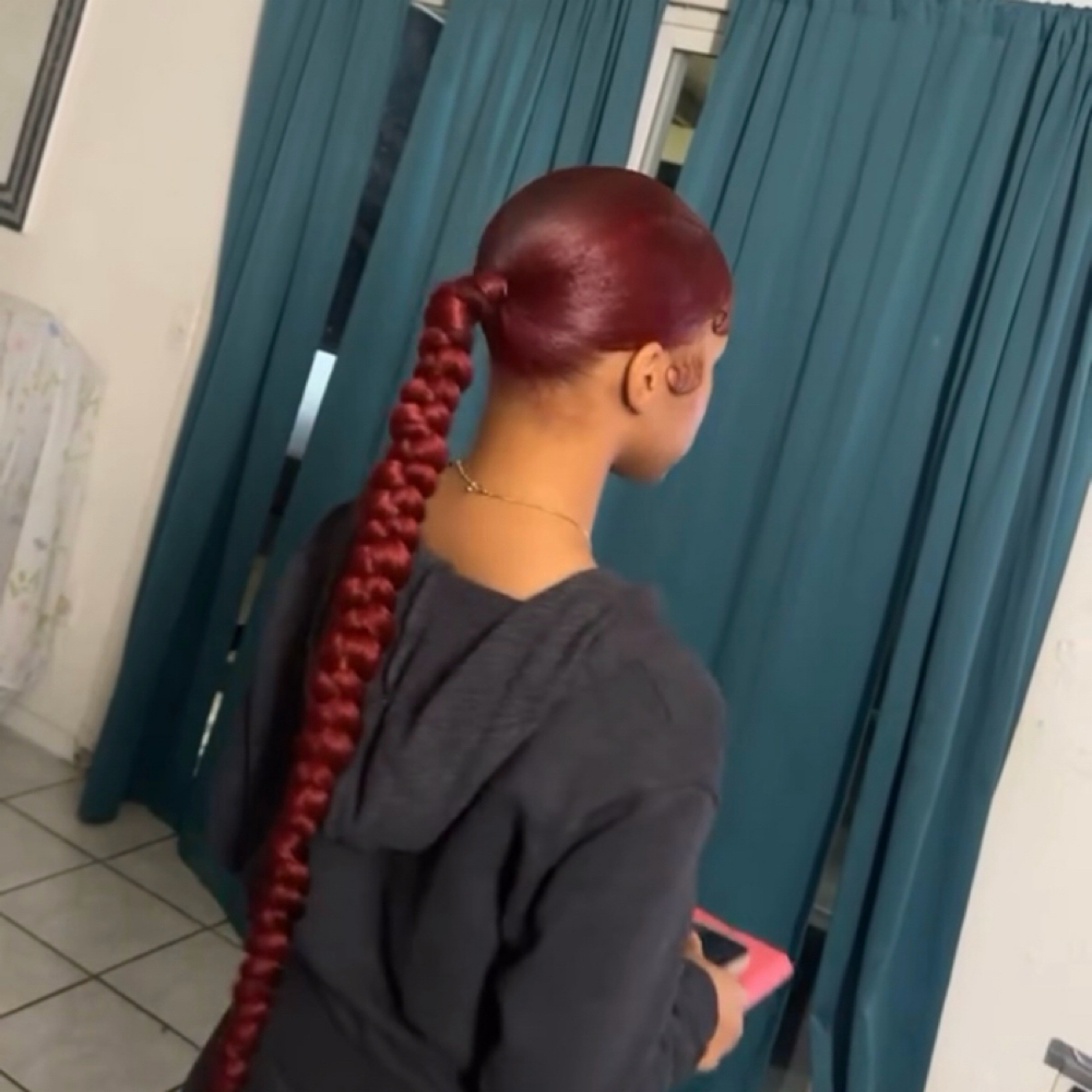 Braided Pony at Theestylestt in Sacramento, CA
